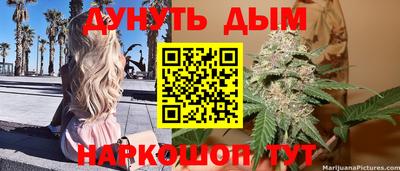 ALPHA PVP Бердск