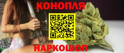 ALPHA PVP Бердск