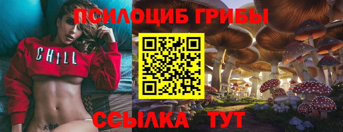 Псилоцибиновые грибы прущие грибы  Галлюциногенные грибы Cubensis  Алейск  Вход с VPN 
